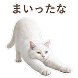 852350819