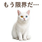 852350821