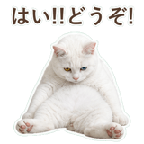 852350829