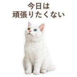 852350830