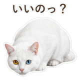 852350831