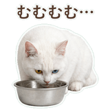 852350834