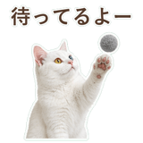 852350835