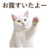 852350840