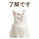 852350843