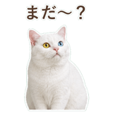 852350844