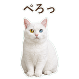 852350845