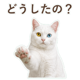 852350846