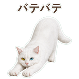 852350847