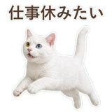 852350850