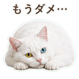852350852