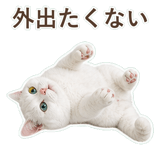 852350855
