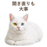 852350856