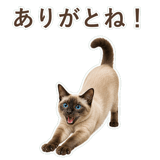 852351169