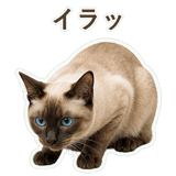 852351170