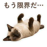 852351173