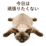 852351182