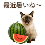 852351190