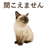 852351203