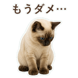 852351204