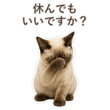 852351205