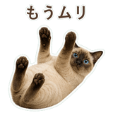 852351206