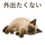 852351207