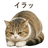 852351210