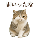 852351211