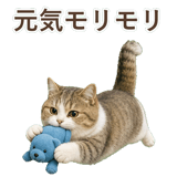 852351212