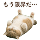 852351213