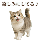 852351215