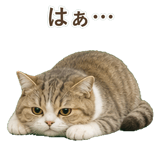 852351218