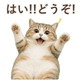 852351221