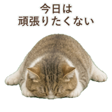 852351222