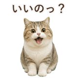 852351223