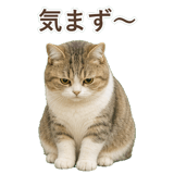 852351224