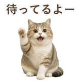852351227