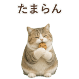852351228