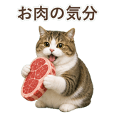 852351229