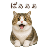 852351234