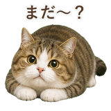 852351236