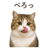 852351237
