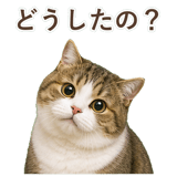 852351238
