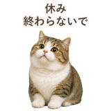 852351241