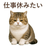 852351242