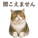 852351243
