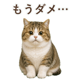 852351244