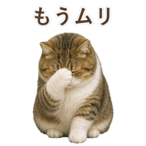 852351246