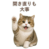 852351248